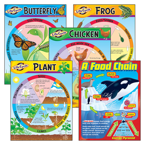 Life Cycles Learning Charts Combo Pack, Set Of 5