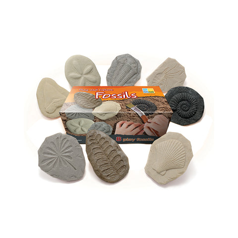 Let'S Investigate Fossil Stone, Pack Of 8